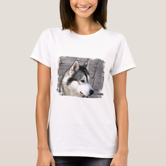 Malamute Photo Ladies Fitted T-Shirt (Front)