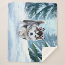 Malamute Pup in the Snow