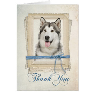 Malamute Thank You Card