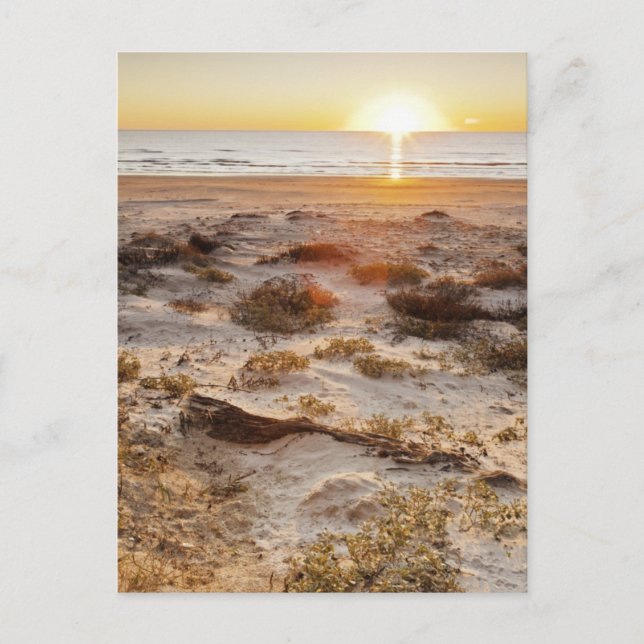 Malaquite Beach Sand Dunes Postcard (Front)