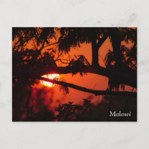 Malawi , Africa Sunset Postcard