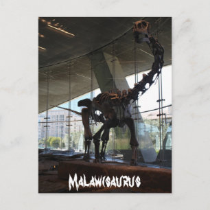 Malawisaurus Postcard