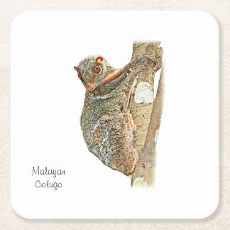 Malayan Colugo Coaster