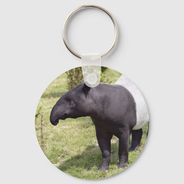 Malayan tapir on grass keychain (Front)