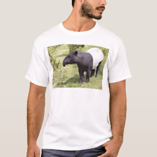 Malayan tapir on grass T-Shirt