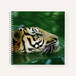 Malayan Tiger Swimming Headshot Notebook