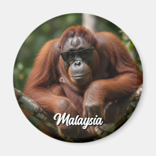 Malaysia Orangutan with sunglasses Magnet