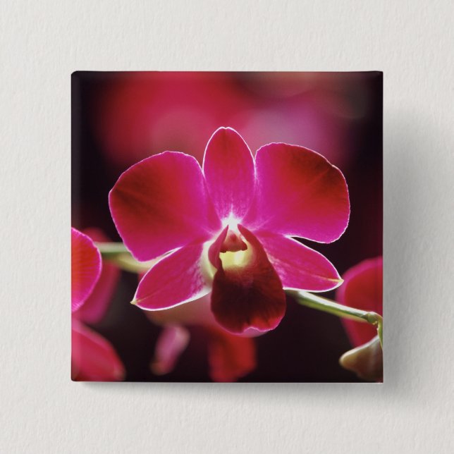 Malaysia, Orchid 2 Inch Square Button (Front)