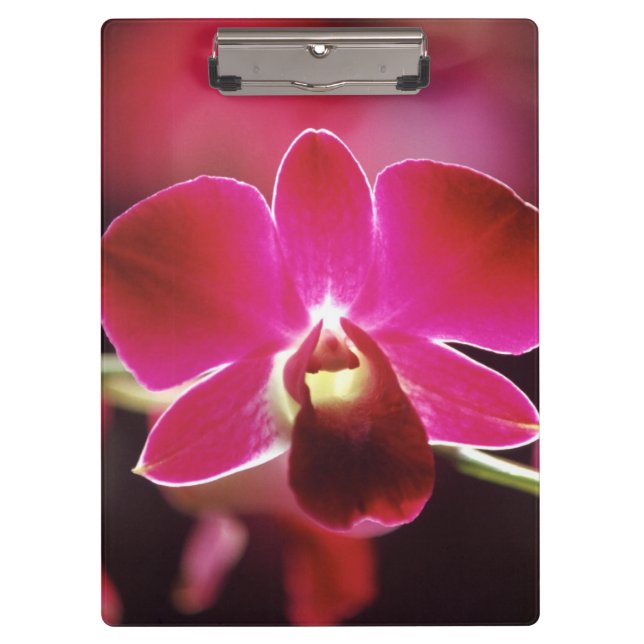 Malaysia, Orchid Clipboard (Front)