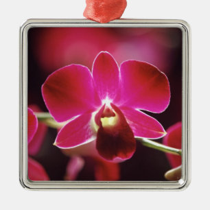 Malaysia, Orchid Metal Ornament