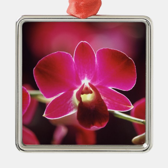 Malaysia, Orchid Metal Ornament (Front)