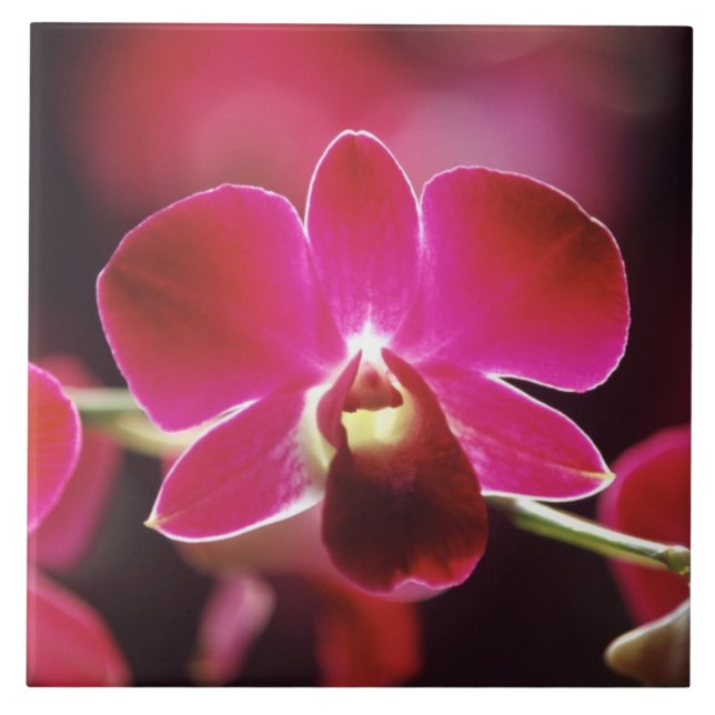 Malaysia, Orchid Tile (Front)