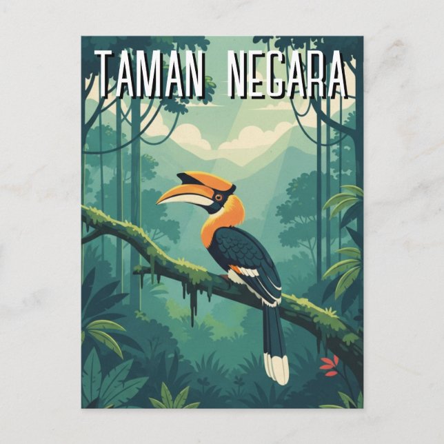 Malaysia Taman Negara Hornbill Postcard (Front)
