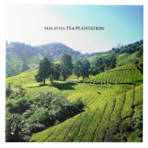 Malaysia Tea Plantation Tile