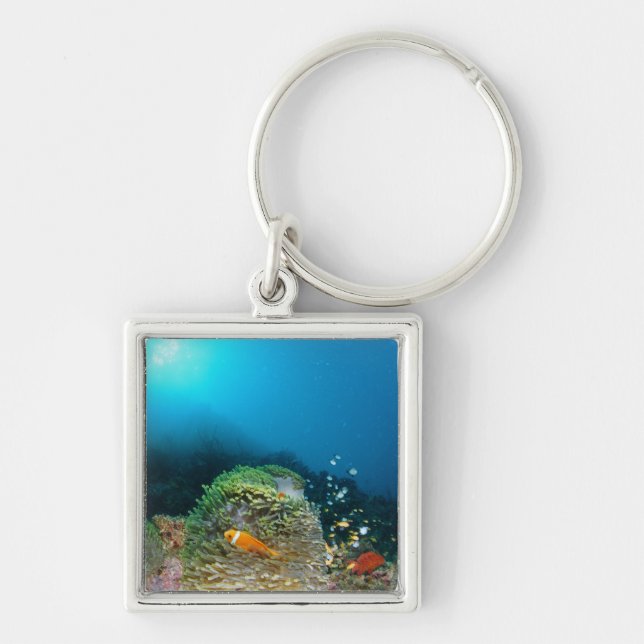 Maldives Anemone fish swimming underwater Keychain (Front)