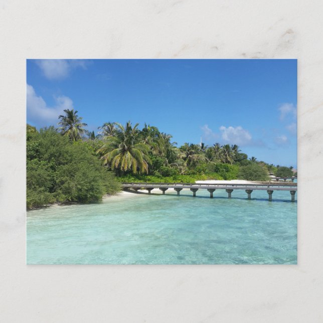 Maldives Beach Boardwalk Postcard (Front)