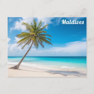 Maldives Island Ocean Beach Palm Tree Travel Postcard