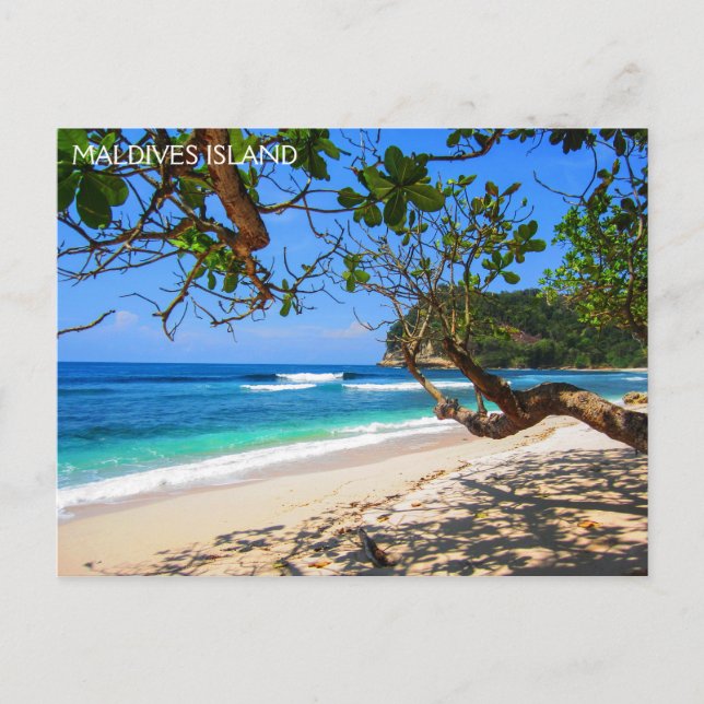 Maldives island postcard (Front)