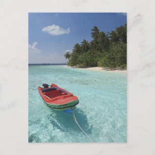 Maldives, Male Atoll, Kuda Bandos Island Postcard