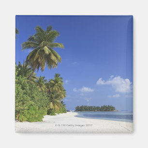 Maldives, Meemu Atoll, Medhufushi Island Magnet