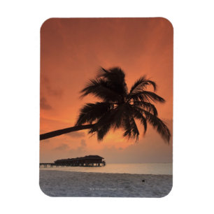 Maldives, Meemu Atoll, Medhufushi Island, Magnet