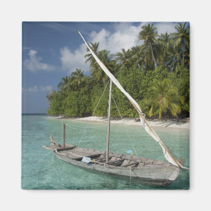 Maldives, North Male Atoll, Island of Kuda Magnet