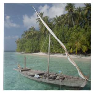 Maldives, North Male Atoll, Island of Kuda Tile