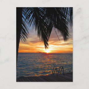 Maldives Postcard
