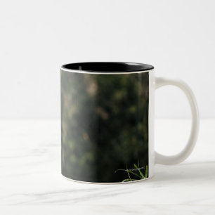 Male African lion at the zoo in Washington, D.C. 2 Two-Tone Coffee Mug