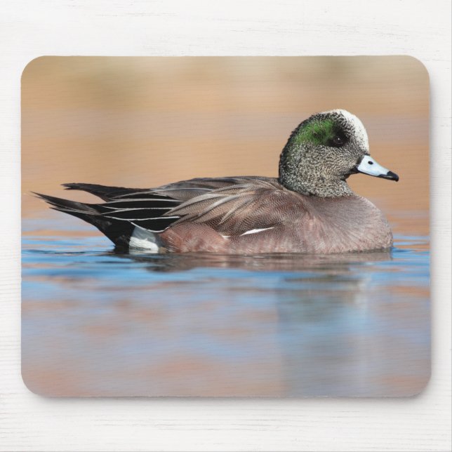 Male American Wigeon Mouse Pad (Front)
