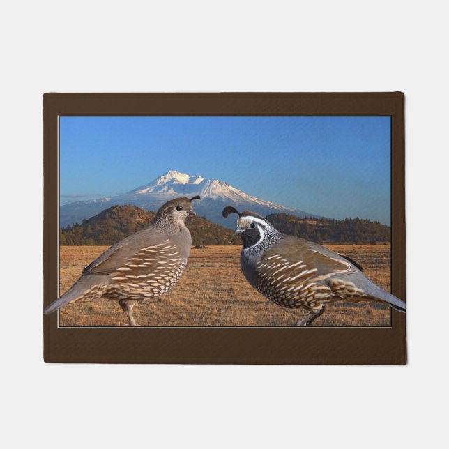 MALE AND FEMALE CALIFORNIA QUAIL DOORMAT (Front)