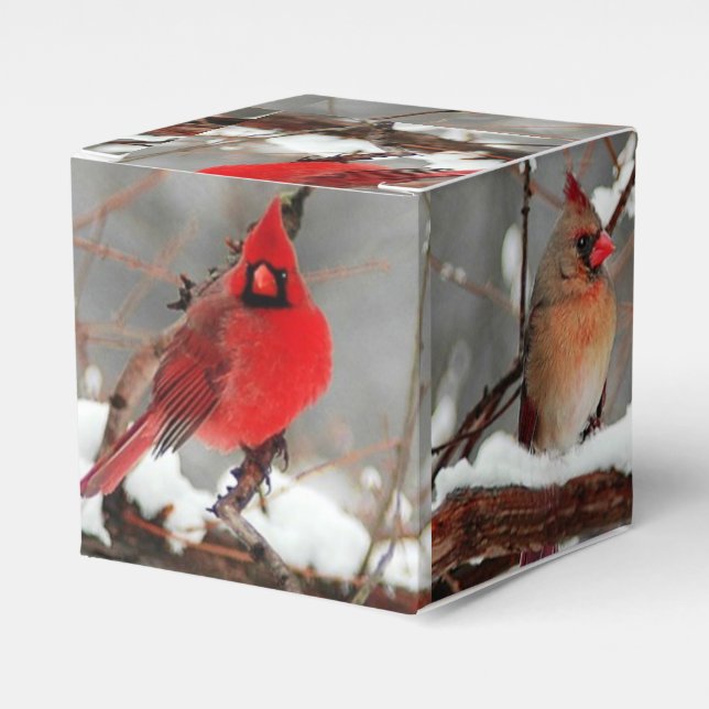 male and female cardinals favor box (Front Side)