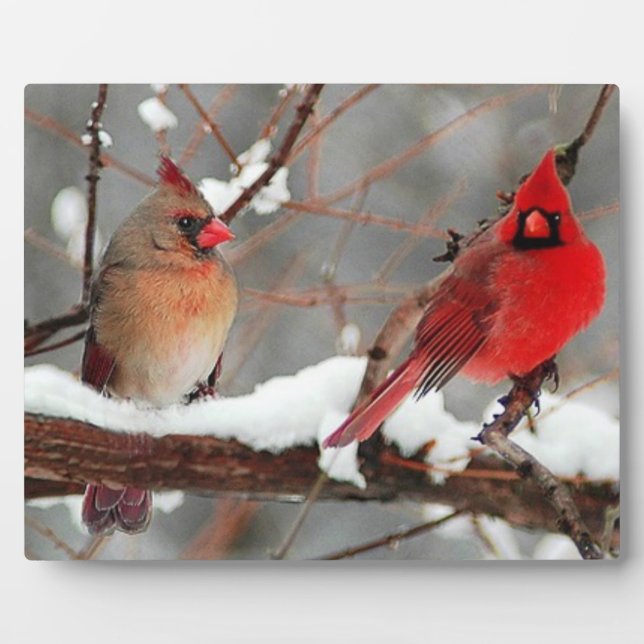 male and female cardinals plaque (Front)