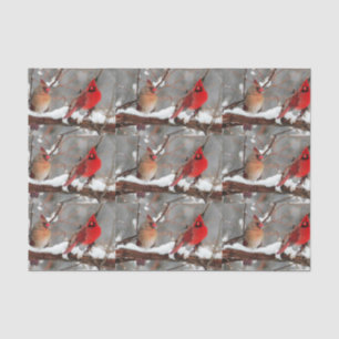 male and female cardinals tissue paper