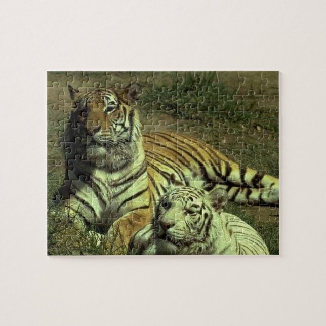 Male And Female Tigers Jigsaw Puzzle (Horizontal)