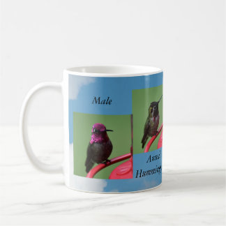 Male Ann'a Hummingbird Mug