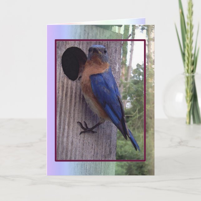 Male Bluebird Card (Front)