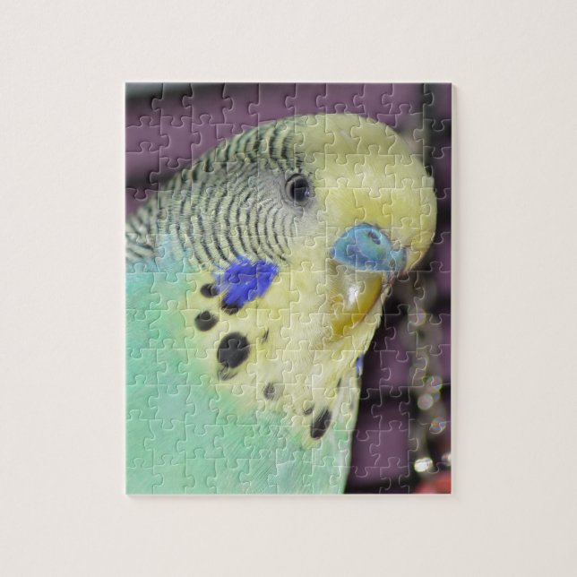 Male Budgie/ Parakeet Jigsaw Puzzle (Vertical)
