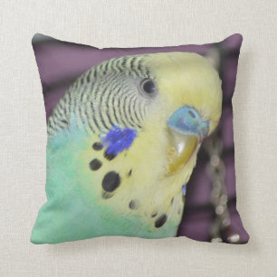 Male Budgie/ Parakeet Throw Pillow