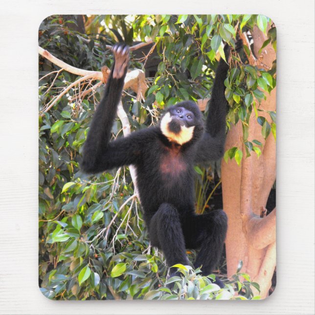 Male Buff cheeked gibbon Mouse Pad (Front)