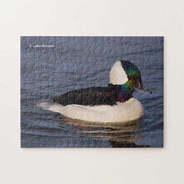Male Bufflehead Duck in the Afternoon Sun Jigsaw Puzzle (Horizontal)