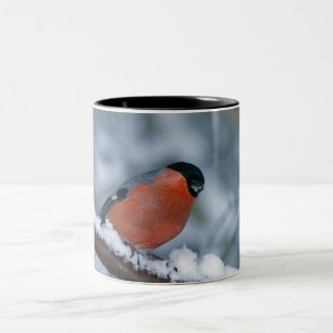 Male Bullfinch in the Snow Mug