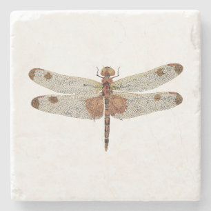 Male Calico Pennant Dragonfly Coaster