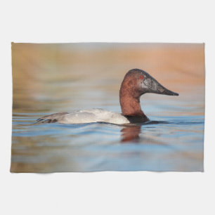 Male canvasback duck kitchen towel