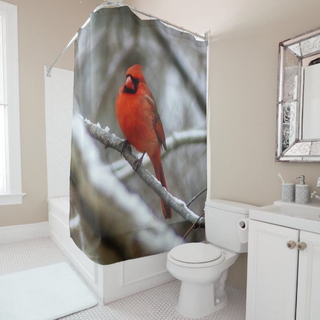 Male Cardinal (In Situ)