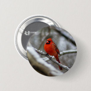 Male Cardinal 2 Inch Round Button