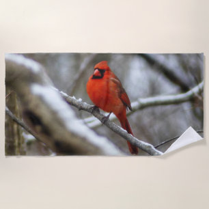 Male Cardinal Beach Towel