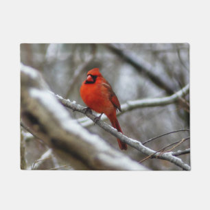 Male Cardinal Doormat