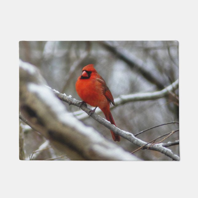 Male Cardinal Doormat (Front)