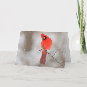 Male Cardinal in Snow Holiday Card